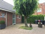 Schoorl, Vakantiehuizen Maryo!, Vakantie, Dorp, Noord-Brabant, Rolstoelvriendelijk, Eigenaar
