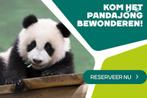 1 toegangskaart Ouwehands Dierenpark geldig tm 30-6-2026!, Tickets en Kaartjes, Eén persoon, Ticket of Toegangskaart