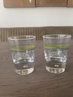 Baileys glazen, Verzamelen, Glas en Borrelglaasjes, Ophalen of Verzenden, Nieuw, Overige typen