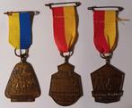 Medaille Limburgs Dagblad 1982 1984 Kasteel Wittem Wandel, Postzegels en Munten, Penningen en Medailles, Ophalen of Verzenden
