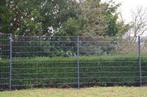 Goedkoop Hekwerk voor Tuin/Vijver/Bedrijfspand/Afscheiding, Tuin en Terras, Tuinhekken en Hekwerk, Ophalen, Nieuw, IJzer, Dubbelstaafmat hekwerk