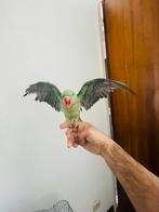 Alexzander papegaai, Dieren en Toebehoren, Vogels | Parkieten en Papegaaien, Mannelijk, Papegaai, Tam