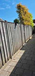 Tuin schutting met poort, Tuin en Terras, Schuttingen, Ophalen, 6 meter of meer, Hout, 1 tot 2 meter