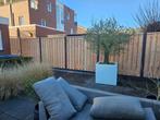 Betonschutting v.a. €95 p.m. (incl. plaatsing), Tuin en Terras, Schuttingen, Ophalen, Nieuw, Hout, Minder dan 3 meter
