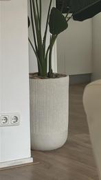 Kwantum dijon pot, Tuin en Terras, Bloempotten, Ophalen of Verzenden, Nieuw, Rond, Minder dan 25 cm