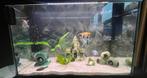 Aquarium 150 liter ( LXBXH) 78x39x54 incl. alles, Dieren en Toebehoren, Ophalen, Zo goed als nieuw, Leeg aquarium