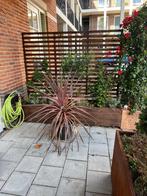 Bloembakken van hout 200cm x40x36 mogelijk met trellis 176cm