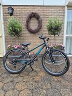Merk beast, Fietsen en Brommers, Ophalen, Gebruikt, 18 inch