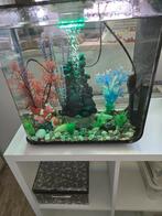 Biorb aquarium, Dieren en Toebehoren, Ophalen, Zo goed als nieuw