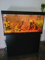 Zeer net onderhoude aquarium 120cm, Dieren en Toebehoren, Ophalen, Zo goed als nieuw, Gevuld zoetwateraquarium