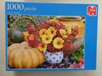 Stilleven Jumbo 1000 stukjes, Ophalen of Verzenden, 500 t/m 1500 stukjes, Gebruikt, Legpuzzel